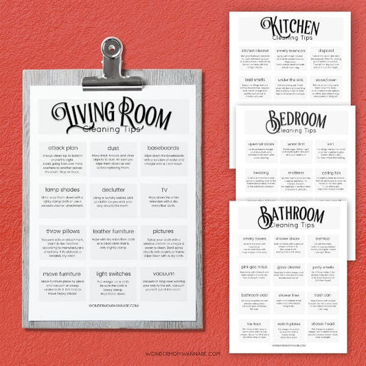 A VIP Vault clipboard with a list of Household Cleaning Tips.