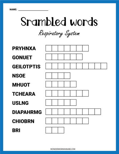 The "Respiratory System Activity Set" by Wondermom Shop provides an engaging educational activity featuring a word scramble puzzle with scrambled words and spaces for solutions.