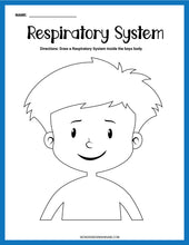 Load image into Gallery viewer, Respiratory System Activity Set
