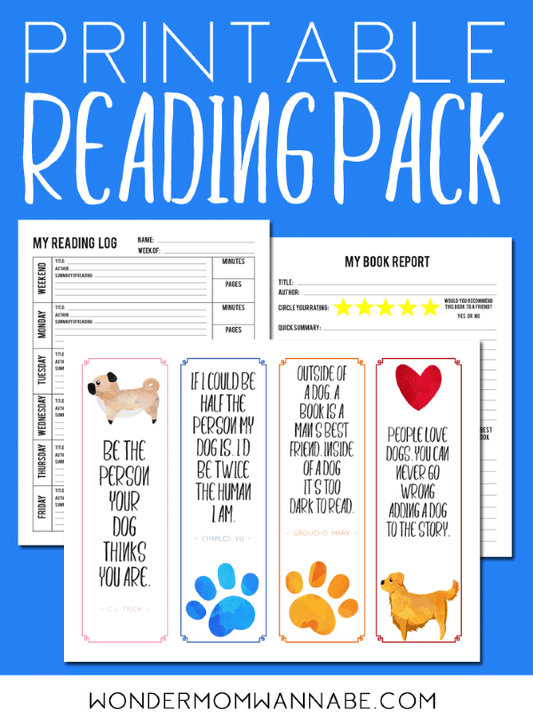 A VIP Vault Reading Kit for Kids with a dog on it.
