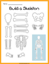 Load image into Gallery viewer, Skeletal System Activity Set

