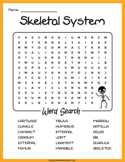 The Skeletal System Activity Set by Wondermom Shop includes a word search puzzle featuring terms such as cartilage, fibula, and human skeleton, along with a small illustration of a skeleton on the right.