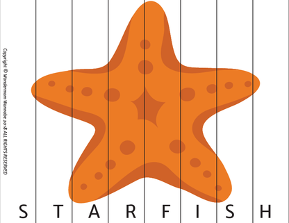 An orange spotted starfish illustration, segmented by lines with "STARFISH" below—ideal for Wondermom Shop’s Summer Activity Kit for Kids as a fun printable or digital game.