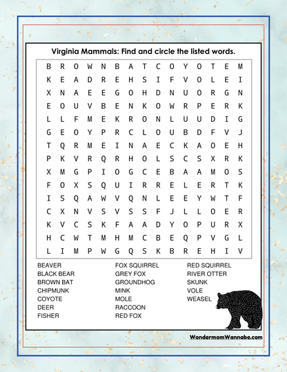 Virginia Travel Guide and Activity Kit for Kids