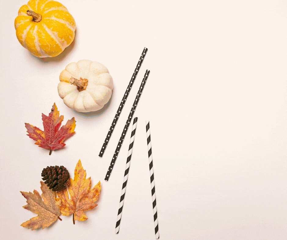 Two small pumpkins, four leaves, a pinecone, and four striped straws arranged on a plain surface with ample white space on the right—perfect for showcasing your Wondermom Shop's Fall Festival Party Kit.
