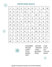 Load image into Gallery viewer, A printable winter word search, perfect for kids. This Winter Activity Kit for Kids from Wondermom Shop features snowflakes and words to keep little ones entertained.
