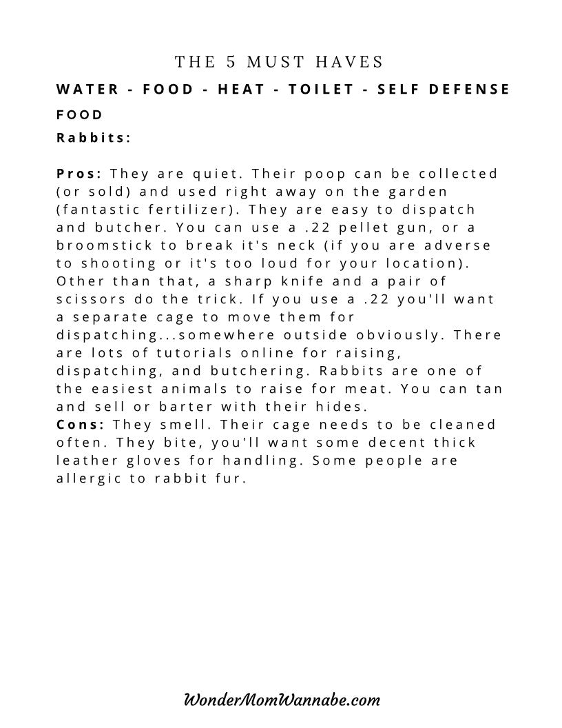 A printable Ultimate Prepper Guide for emergencies, highlighting the 5 must-haves for a healthy home. (Brand Name: Wondermom Shop)