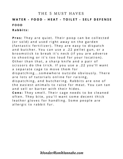 A printable Ultimate Prepper Guide for emergencies, highlighting the 5 must-haves for a healthy home. (Brand Name: Wondermom Shop)
