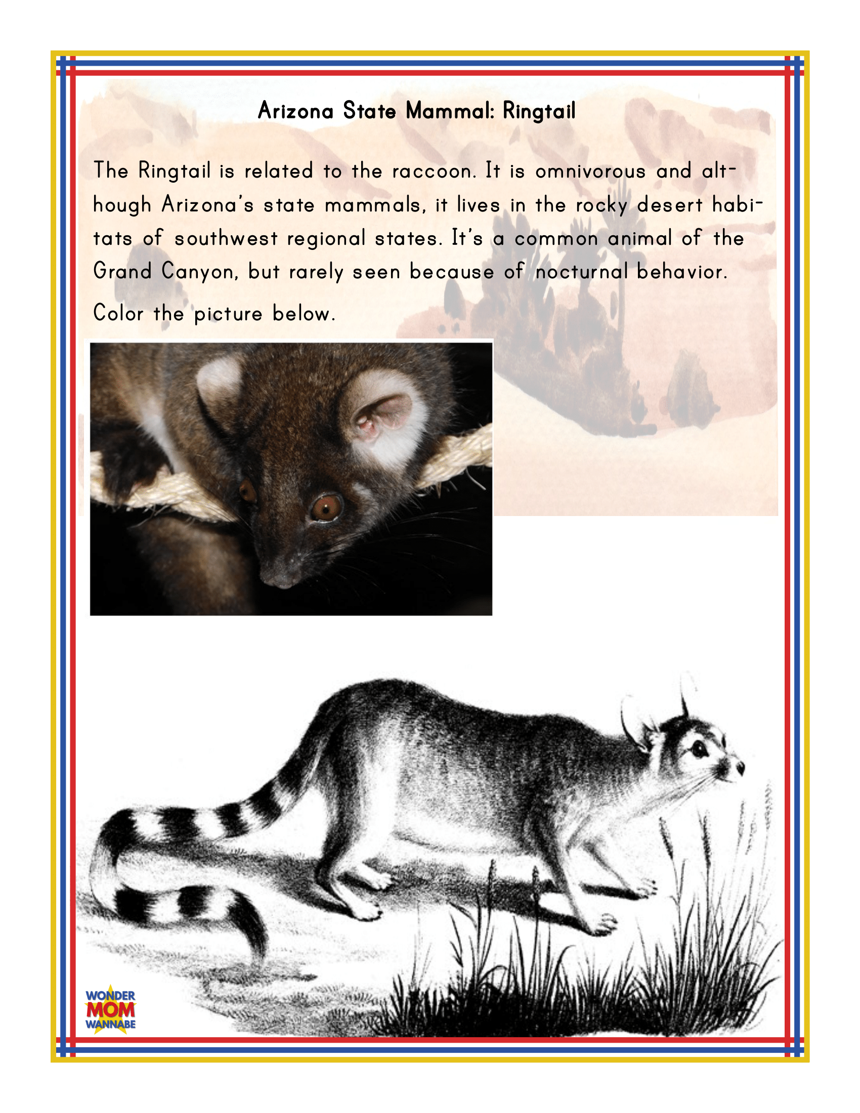 Discover the nocturnal Ringtail, an omnivorous mammal related to the raccoon and commonly found in the southwestern United States, with the Arizona Travel Guide and Activity Kit for Kids by Wondermom Shop. This educational kit includes a black-and-white illustration of the Ringtail for kids to color, as highlighted in many Arizona travel guides.