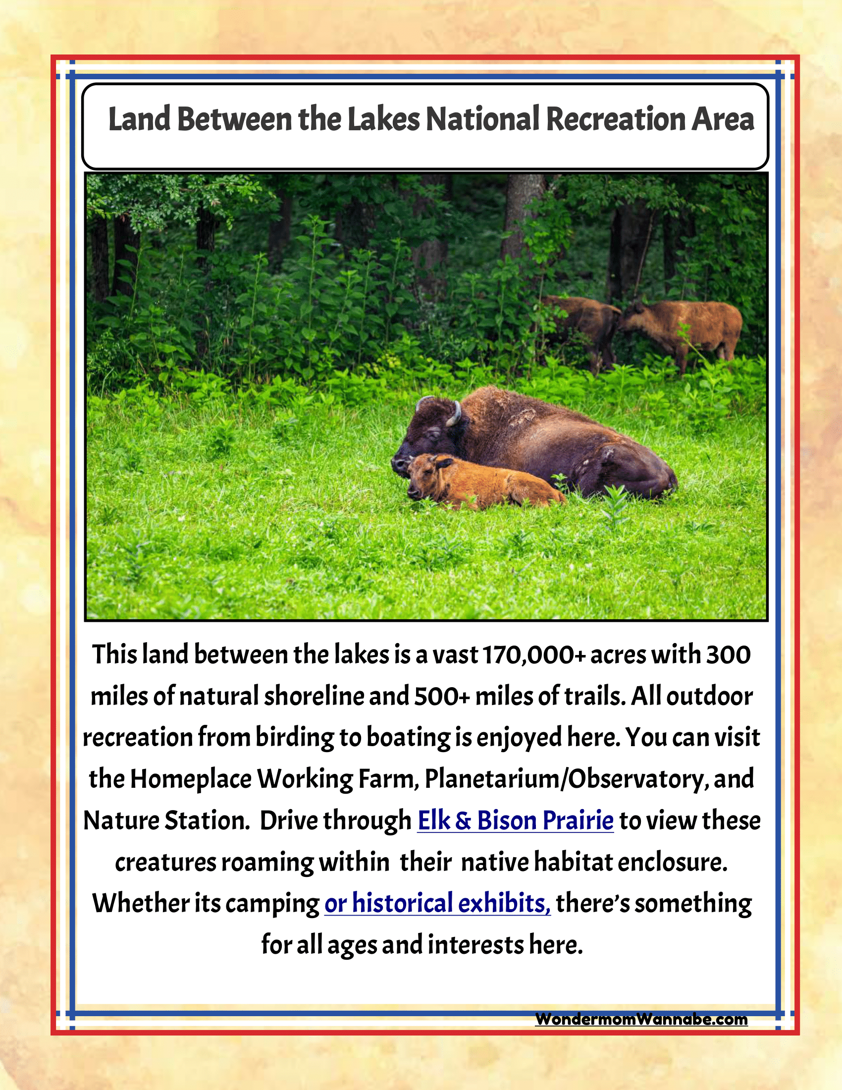 Explore the Land Between the Lakes National Recreation Area with our Wondermom Shop Kentucky Travel Guide and Activity Kit for Kids. This incredible family attraction in Kentucky offers vast natural spaces, scenic trails, and thrilling outdoor adventures. Make sure to check out highlights like the Elk & Bison Prairie featured in your travel guide!