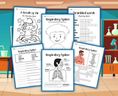 The Human Body Activity Bundle by Wondermom Shop features six educational worksheets about the human respiratory system, displayed against a lab-themed background and including an engaging activity set with crosswords, diagrams, and coloring pages.