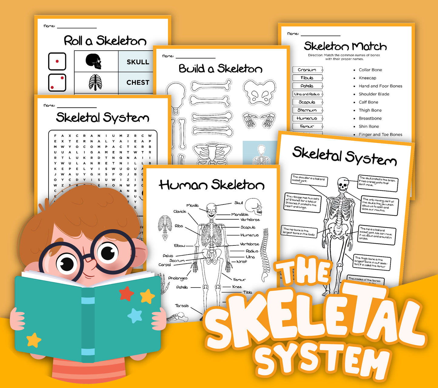Illustration of educational worksheets on the human body, specifically highlighting the skeletal system. Includes diagrams, word searches, and matching activities, with a cartoon character holding a book. The title reads "Human Body Activity Bundle" by Wondermom Shop.