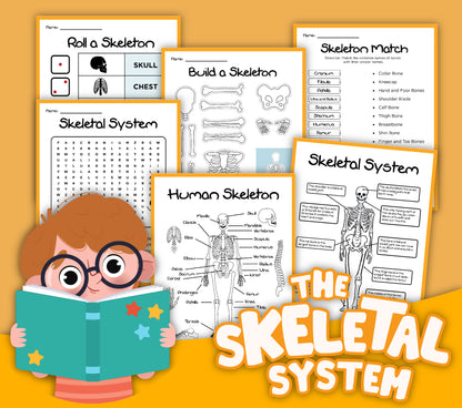 Illustration of educational worksheets on the human body, specifically highlighting the skeletal system. Includes diagrams, word searches, and matching activities, with a cartoon character holding a book. The title reads "Human Body Activity Bundle" by Wondermom Shop.