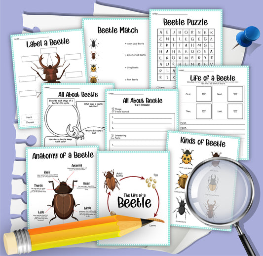 Beetles Activity Set
