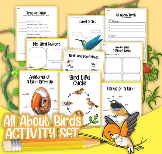 The digital product titled "Bird Activity Set" by Wondermom Shop includes educational worksheets on bird anatomy, life cycle, bird reports, labeling a bird, true or false questions, and birds and food.